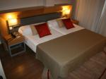 Husa Guadalmedina Hotel Picture 2