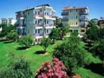 Cats Garden Hotel Picture 8