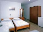 Cats Garden Hotel Picture 7