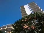 Girassol Hotel Picture 10