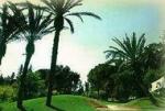 Jacaranda Hotel Picture 2