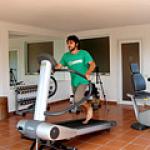 Le Ginestre Hotel Picture 4