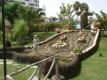 Jardin Del Sol Bungalows Picture 2