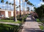 Los Girasoles Bungalows Picture 5