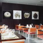 Ac Ciutat De Palma Hotel Picture 4