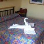 Brisas Del Caribe Hotel Picture 2