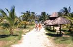 BelleVue Sunbeach Hotel Picture 3