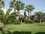 Marina 2 Torrevieja Internacional Apartments Picture 1