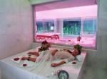 Adam And Eve Hotel Picture 7