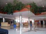 Best Oasis Tropical Hotel Picture 2