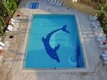 Albatros Apartments Picture 3
