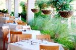 Viva Menorca Aparthotel Picture 4