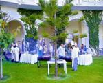 LTI Mahdia Beach Hotel Picture 2