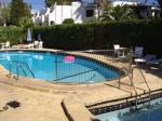 Oasis D'Or Picture 3