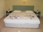 Family House Apartments Picture 1