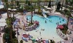 Calypso Cay Hotel & Suites Picture 1