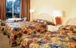 Holiday Inn Nikki Bird Hotel Picture 1