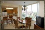 Blue Heron Beach Resort Hotel Picture 7