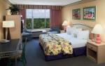 Orlando Vista Picture 4