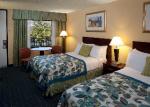 Wyndham Lake Buena Vista Regal Sun Resort Picture 3
