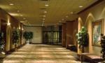 Sheraton Safari Resort Picture 2