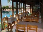 Tropicana Beach Hotel Picture 5