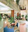 Surtel Hotel Picture 2