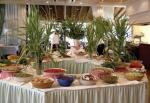 Ermones Active Holiday Resort Hotel Picture 5