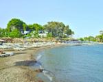 Palm Beach Kos Hotel Picture 2