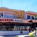 Hippocampus Hotel Picture 3
