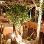 Hippocampus Hotel Picture 4