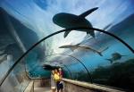 Atlantis Beach Tower Hotel Picture 3