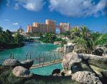 Atlantis Coral Tower Hotel Picture 2