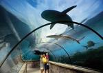 Atlantis Royal Tower Hotel Picture 0