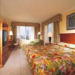 Paradise Island Harbour Resort Hotel Picture 6