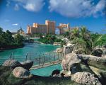 Cove At Atlantis Hotel Picture 0
