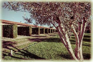 All Seasons Garden Hotel & Leisure Hotel