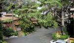 Eurogarden Roma Hotel Picture 1