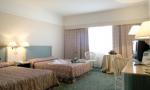 Holiday Inn Rome Parco Dei Medici Hotel Picture 3