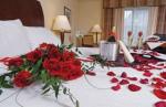 Hilton Garden Inn At Seaworld Hotel Picture 6