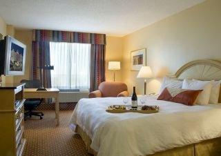 Hilton Garden Inn At Seaworld Hotel