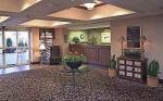 Homewood Suites International Drive Hotel Picture 2