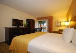 Clarion Inn & Suites at International Drive Picture 3