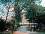 Auto Park Hotel Picture 1