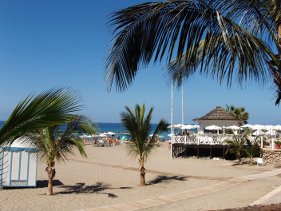 El Duque