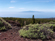 Guia de Isora