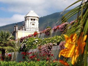 La Orotava La Orotava