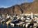 Los Gigantes