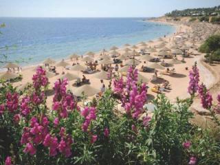 Book Domina Coral Bay Aquamarine Hotel online