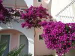 Corfu Sea Gardens Apartments Picture 3